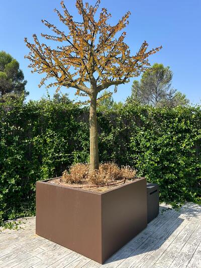 Proyecto Hierros Henares